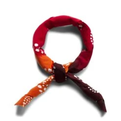 TENUGUI BANDANA - PAISLEY / GRADATION